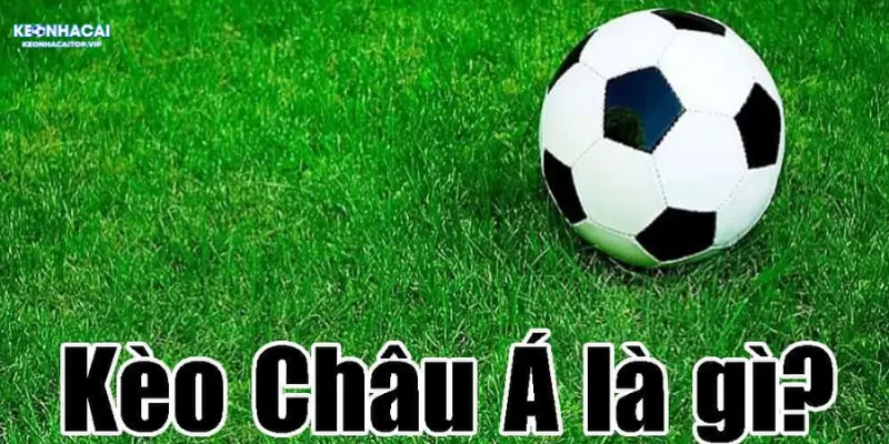 Tìm hiểu cá cược kèo châu á là gì cùng kèo nhà cái 5