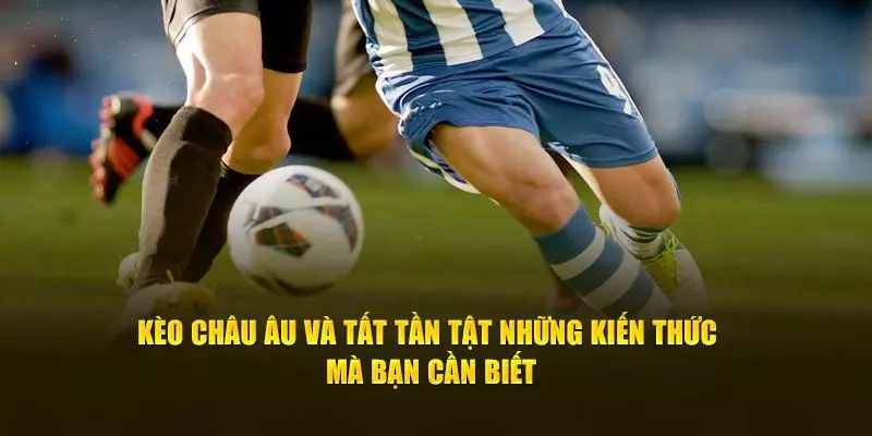 Cách đọc kèo nhà cái châu âu đơn giản, dễ chơi